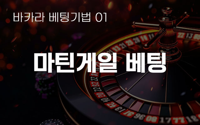 카지노 정보