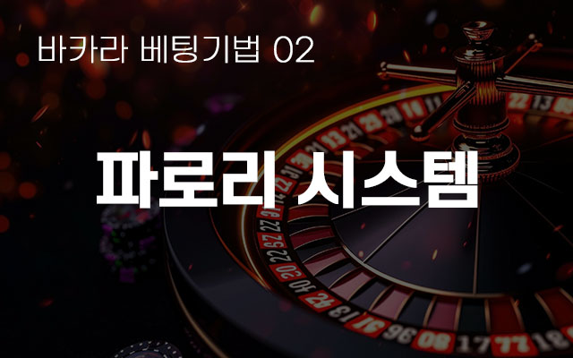 카지노 정보