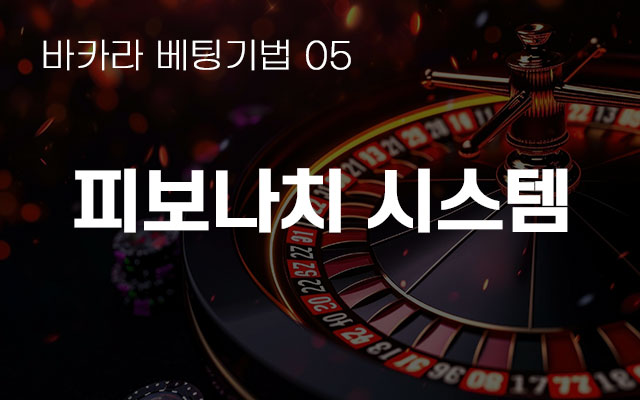 카지노 정보